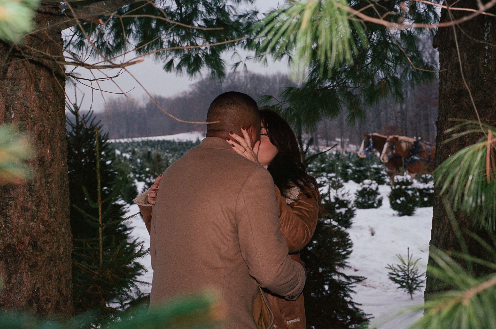 Desmond and Katie and the Horse Team