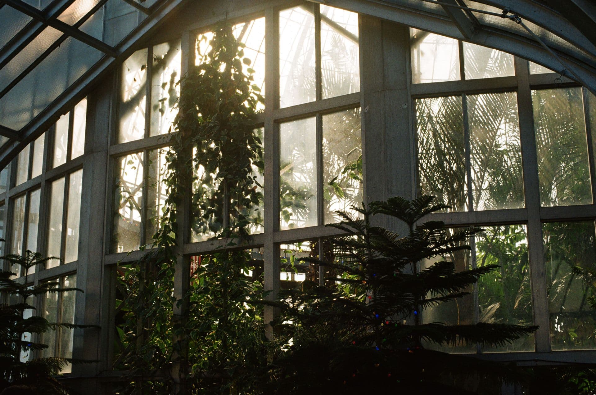 Belle Isle Conservatory Interior