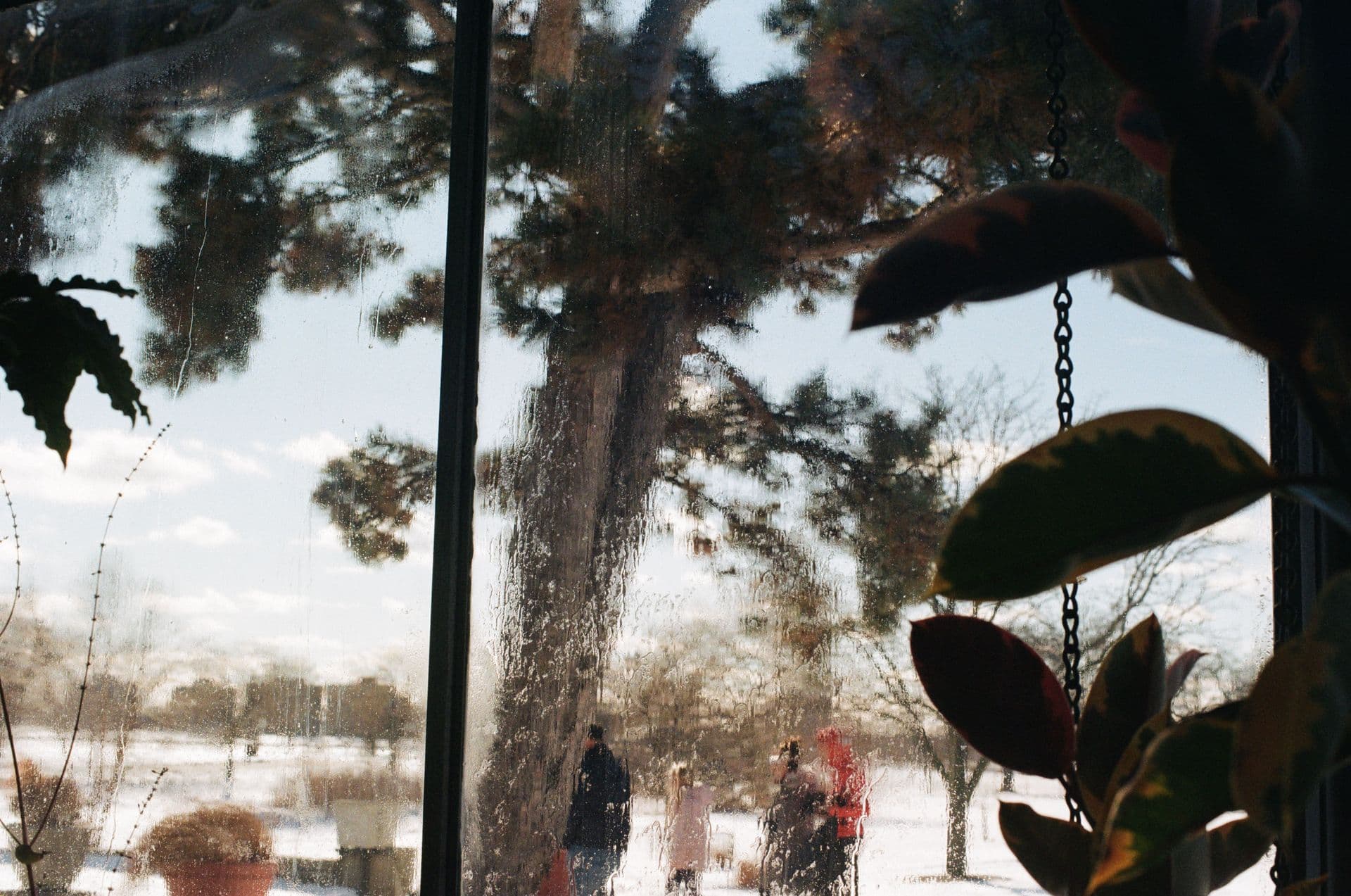 Belle Isle Conservatory Exterior