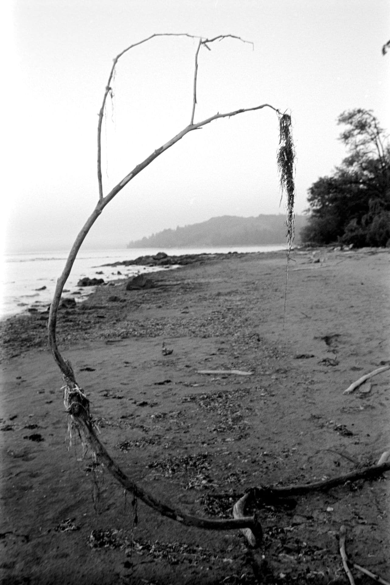Low Tide