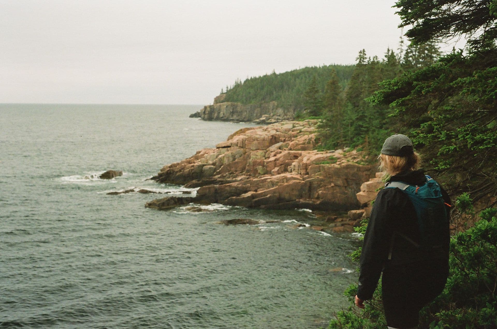 Acadia Coast