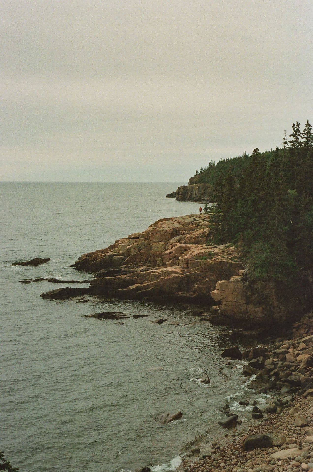 Acadia Coastline