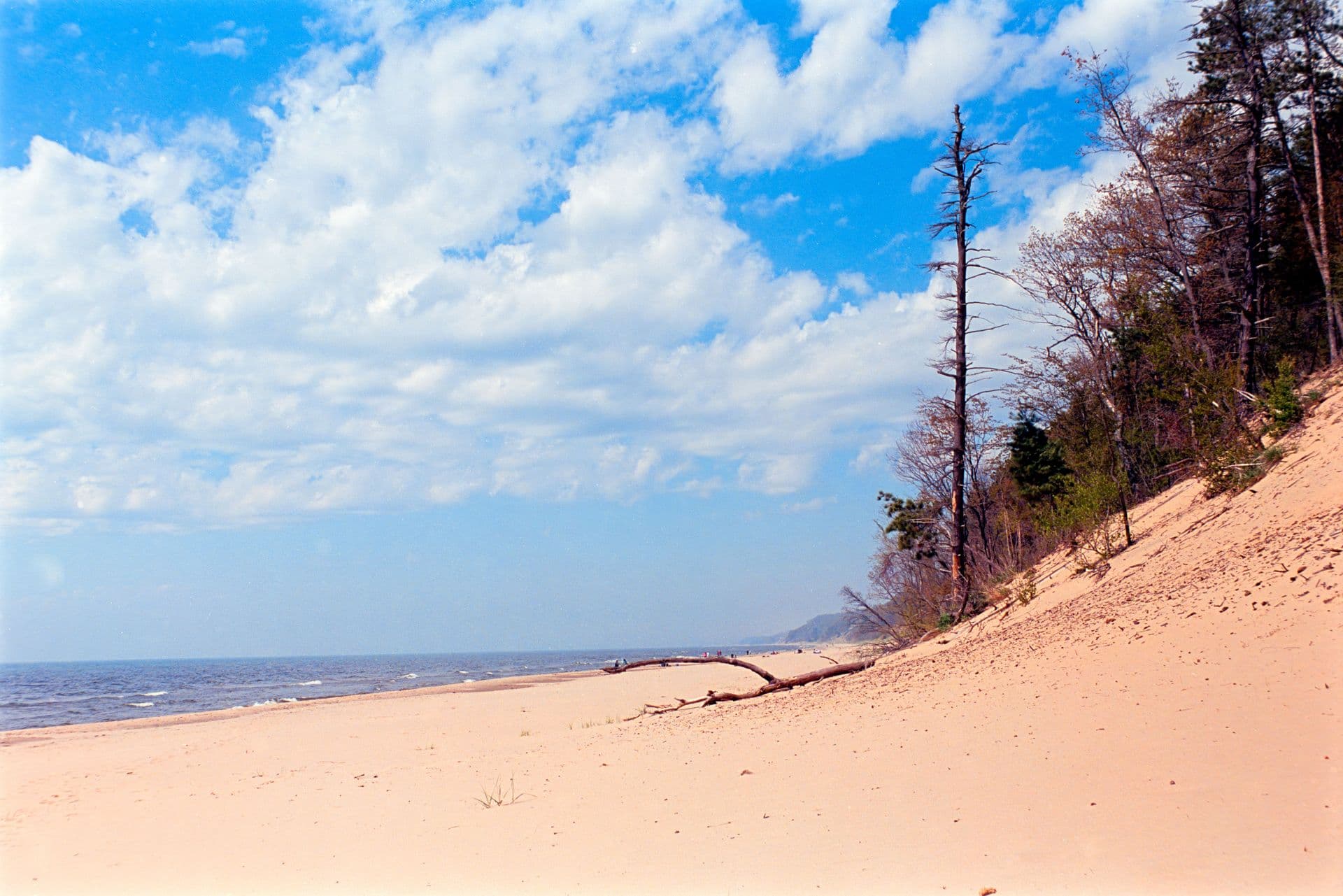 Saugatuck Dunes