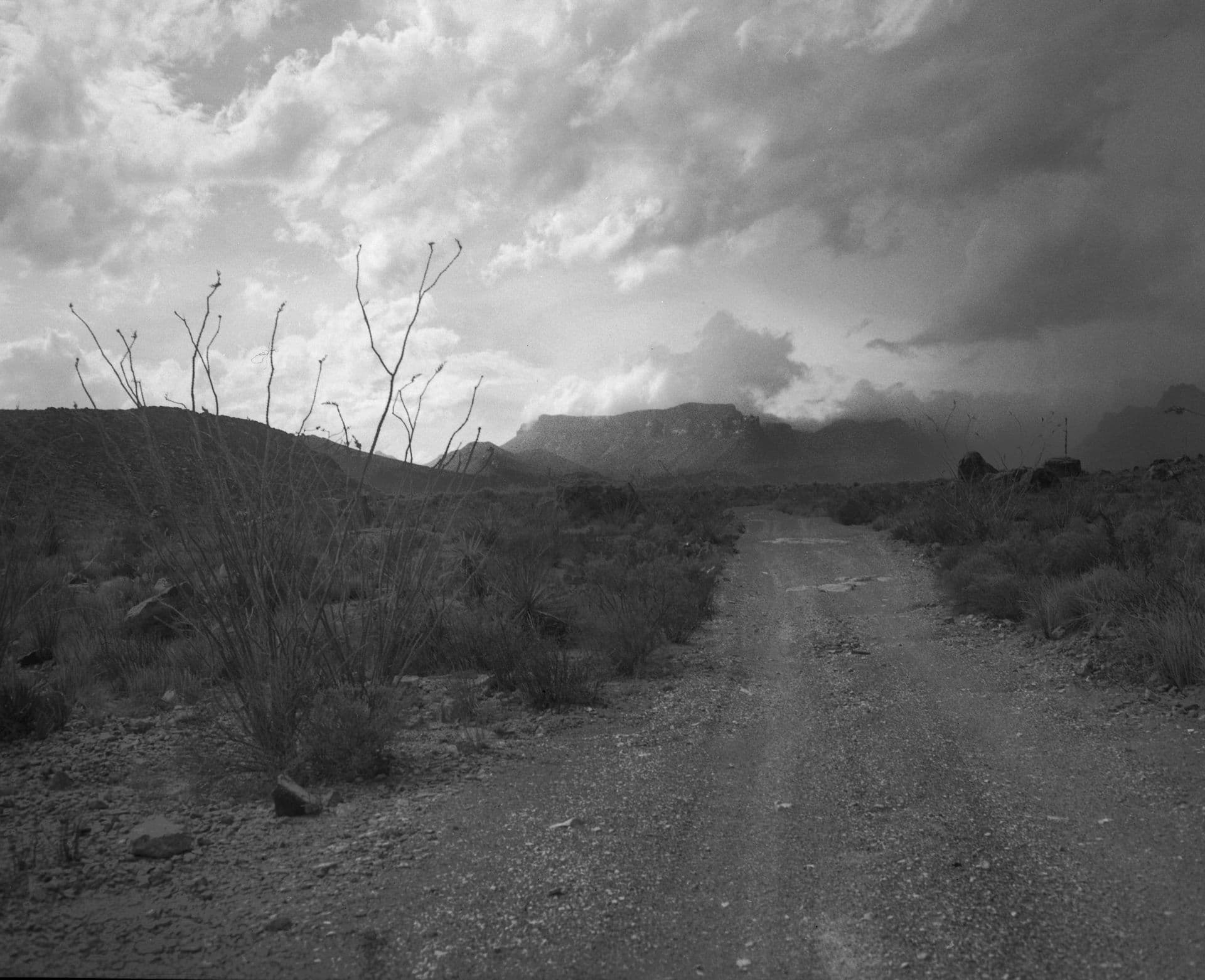 Somewhere in Big Bend