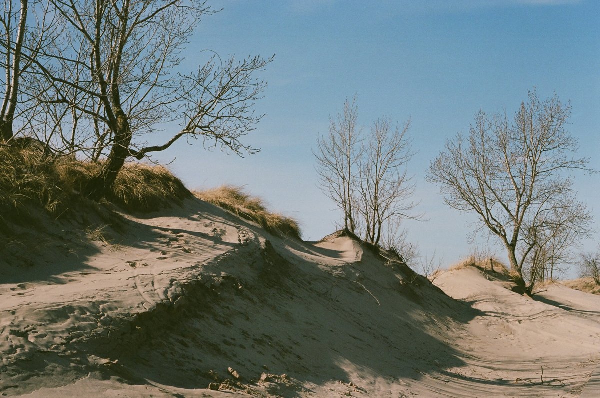 Holland_dunes